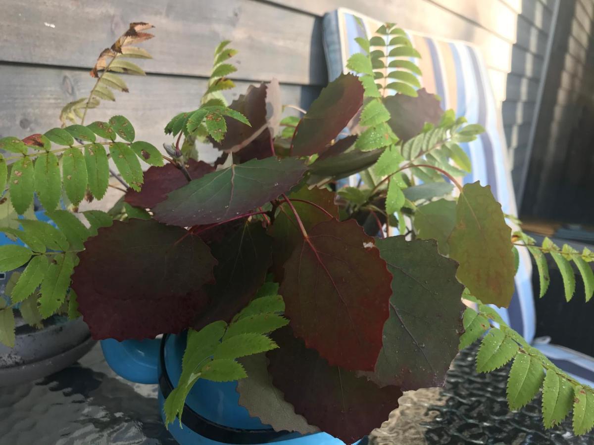Kaaro 2 Cottage Hillosensalmi 외부 사진